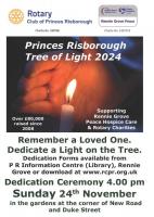 Tree of Light 2024